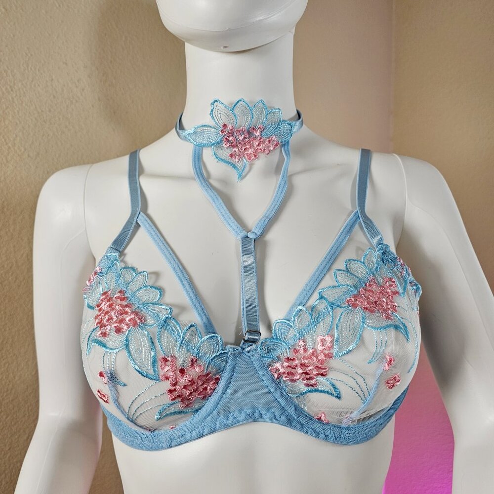 Sexy Mesh Embroidered Lingerie Set with Neck Ring, Bra & Thong, Size 6/M ~ NWOT - Picture 3 of 5